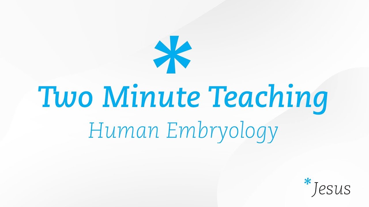 TM 2 | Answering Richard Dawkins - Human Embryology | Two Minute Teaching | Reasons for Hope