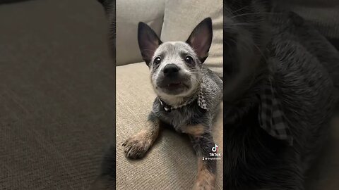 She’s gotten bigger, but she’s just a baby