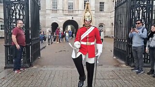 make way for the kings life guard #horseguardsparade