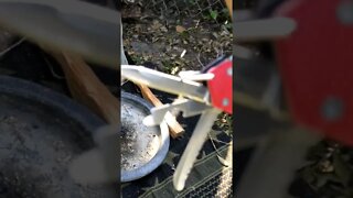 Zippo Fire Starting multitool REVIEW #shorts #shortsreview
