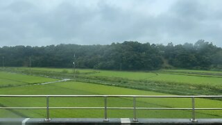 홍성 영등포 기차여행