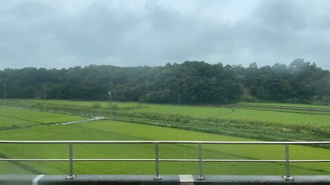 홍성 영등포 기차여행