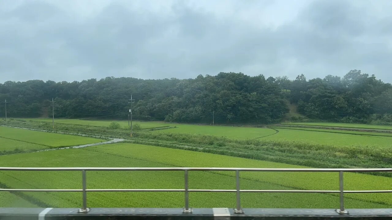 홍성 영등포 기차여행