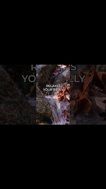 Listen to full meditations at Women's meditation network channel #meditation #sleep #shorts