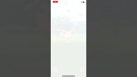 Shiny Skitty
