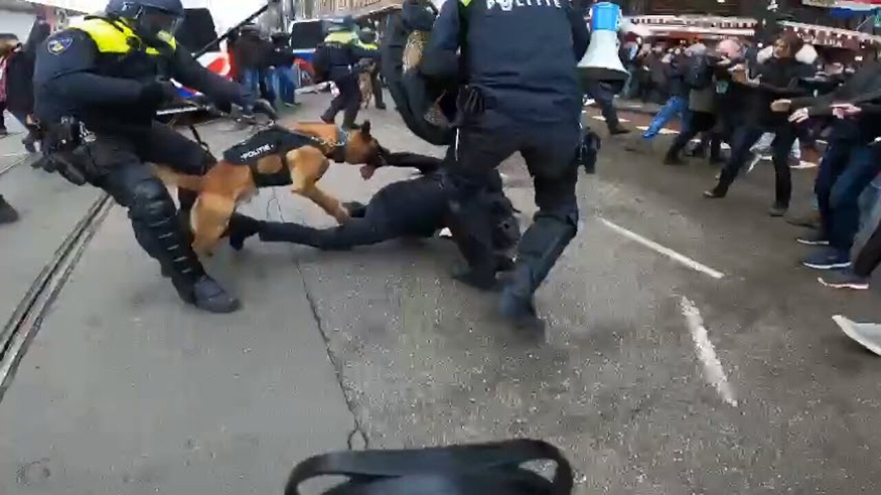 Amsterdam: "It´s for your health"