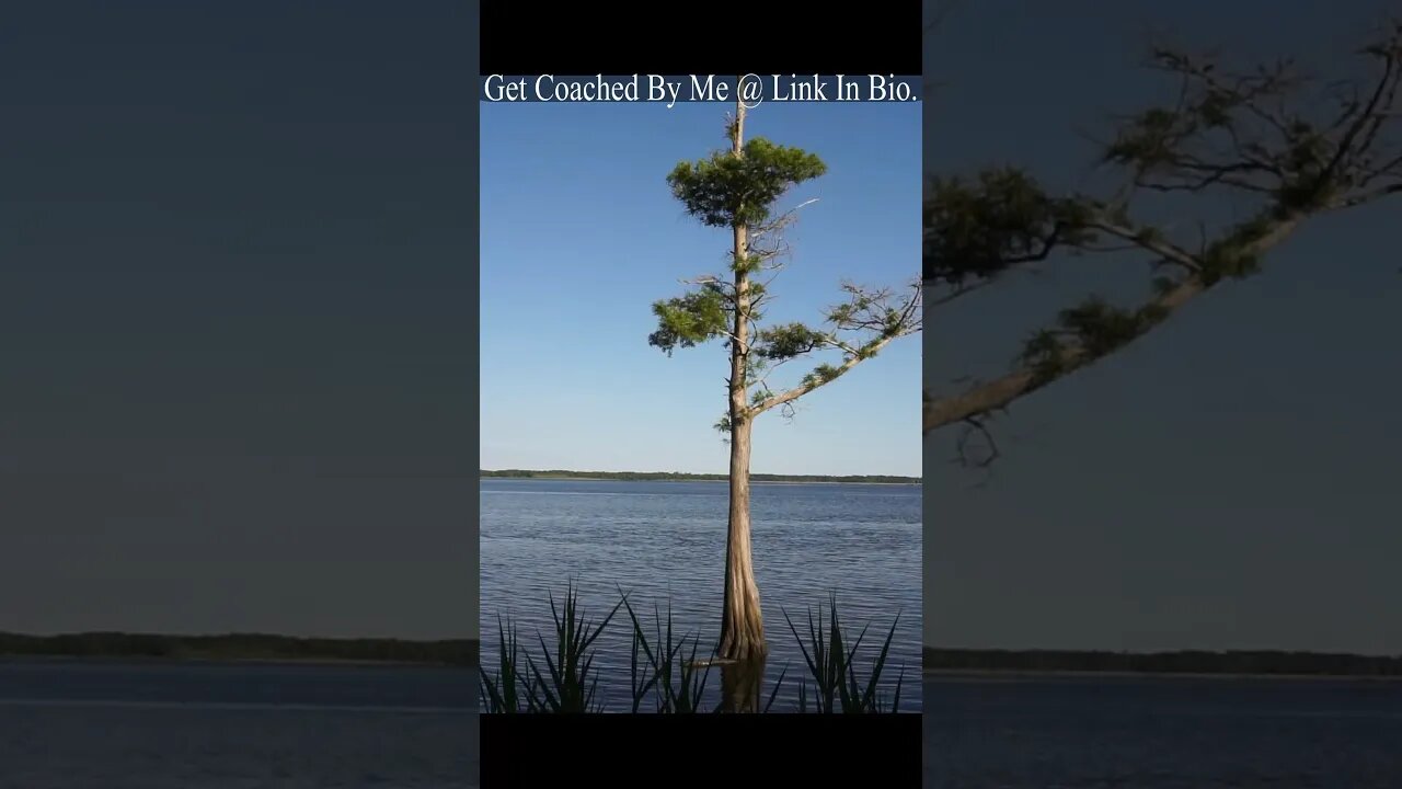 Morgan Park pt 4 #shorts #park #travel #ocean #discover #explore #southcarolina #walk #nature #cool