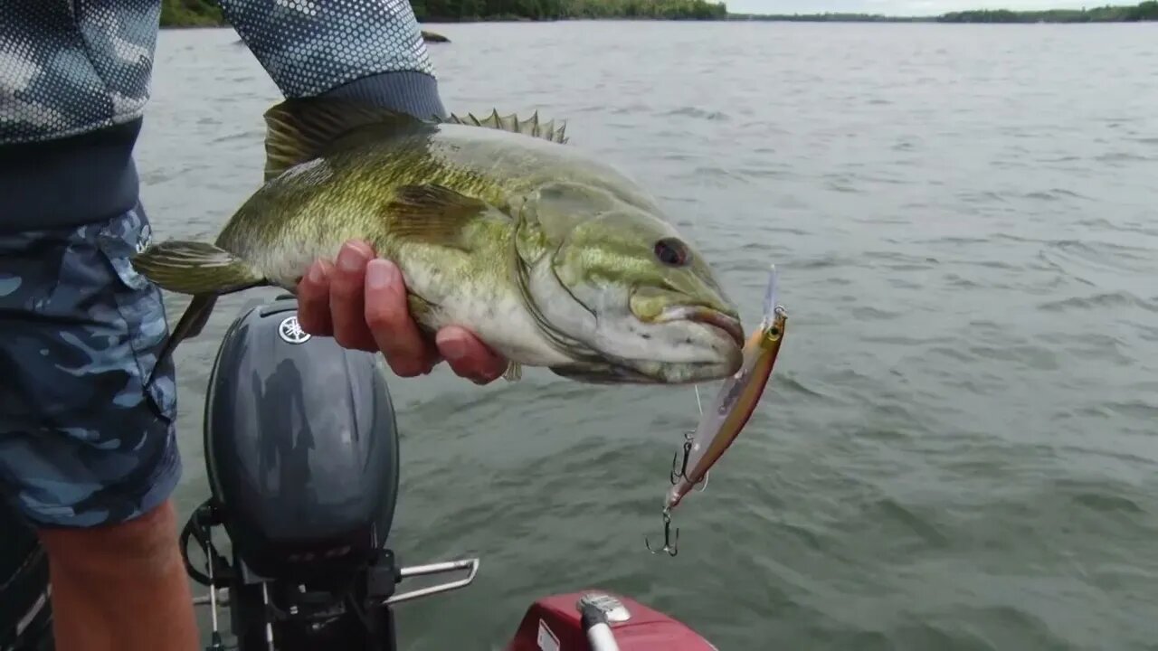 Pinpointing Smallmouth around structure with electronics