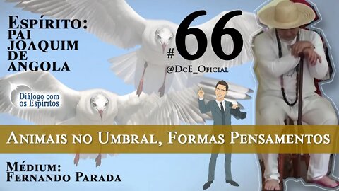 Cortes DcE #66 * Animais no Umbral, Animal do poder, Formas Pensamentos *