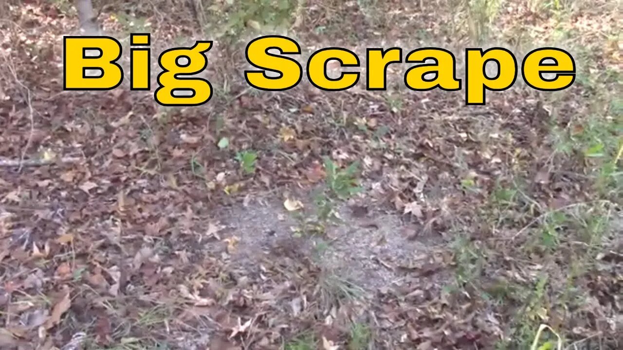 Scrapes Everywhere