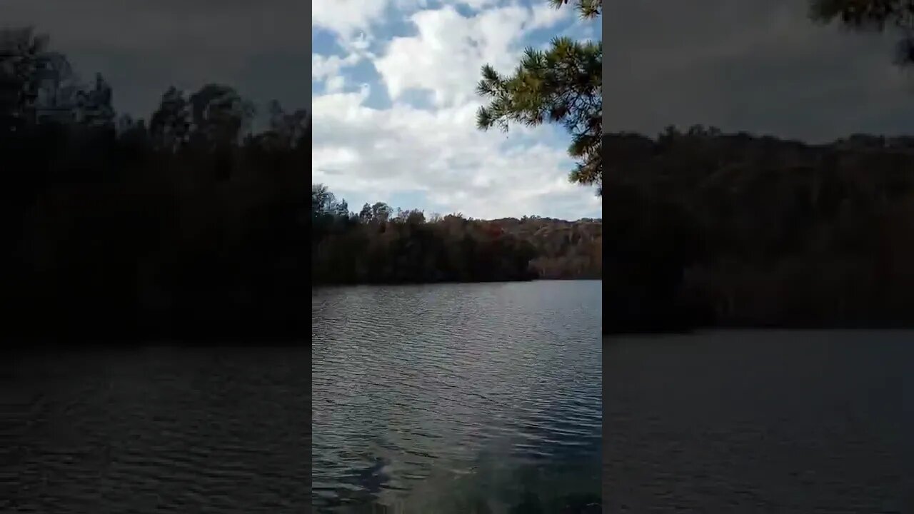 Nice View Of Changing Leaves To Start The Day Fishing #shorts #fishing #fishingisfun #fishingvideo