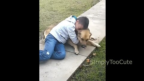 When dog meets owner after time apart