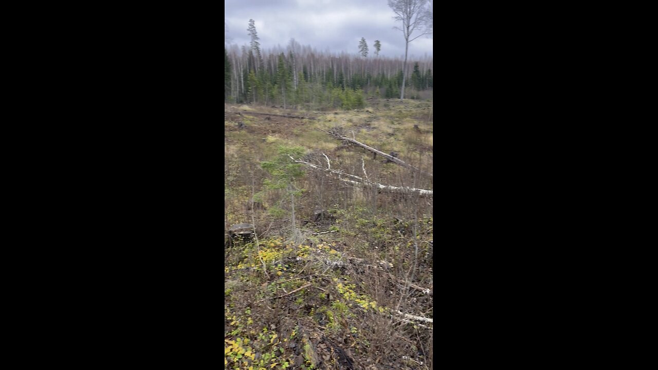 Metal detecting WW1 positions