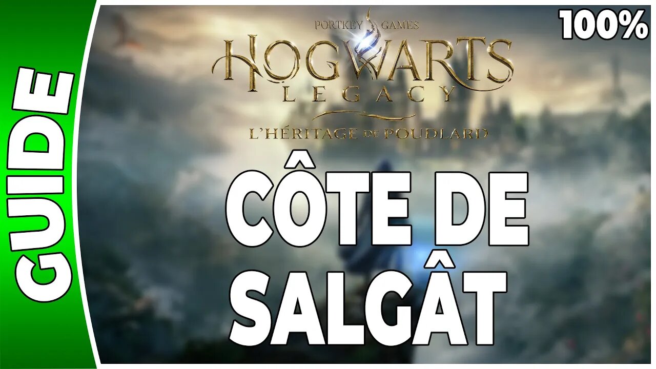 Hogwarts Legacy : l'Héritage de Poudlard - CÔTE DE SALGÂT - 100% Coffres, Pages, Demiguises