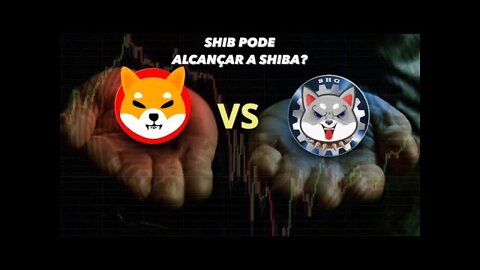 SHIB GENERATION pode chegar no tamanho da SHIBA INU?