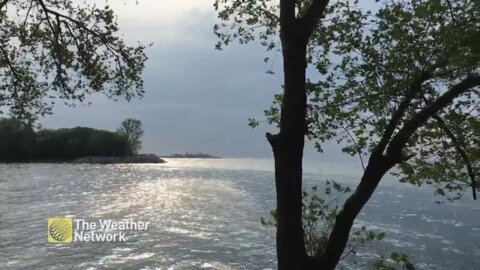 Glimmering lake on a warm breezy day