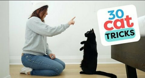 Well-Trained Cats Perform Tricks