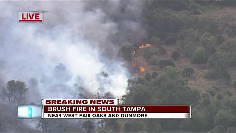 Crews battle brush fire in South Tampa