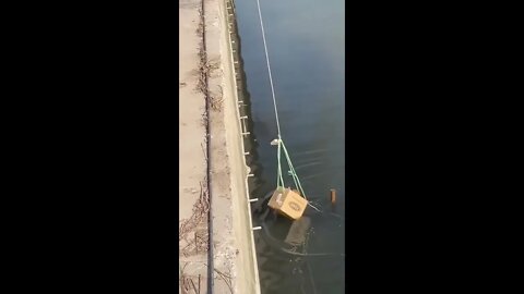Good act!