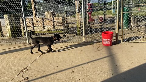 So Happy To Be At The Park