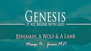 Benjamin, A Wolf & A Lamb: Genesis 49:27