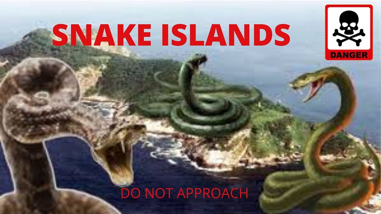 SNAKE ISLANDS