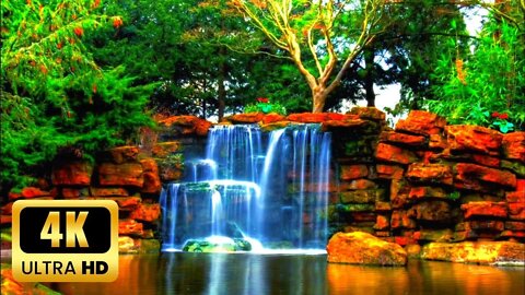 Peaceful Piano Music with Birds Singing • Water Sounds