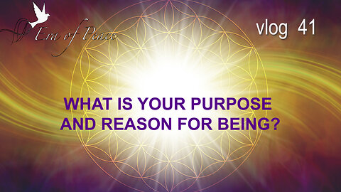 VLOG 41 - WHAT IS YOUR PURPOSE AND REASON FOR BEING?