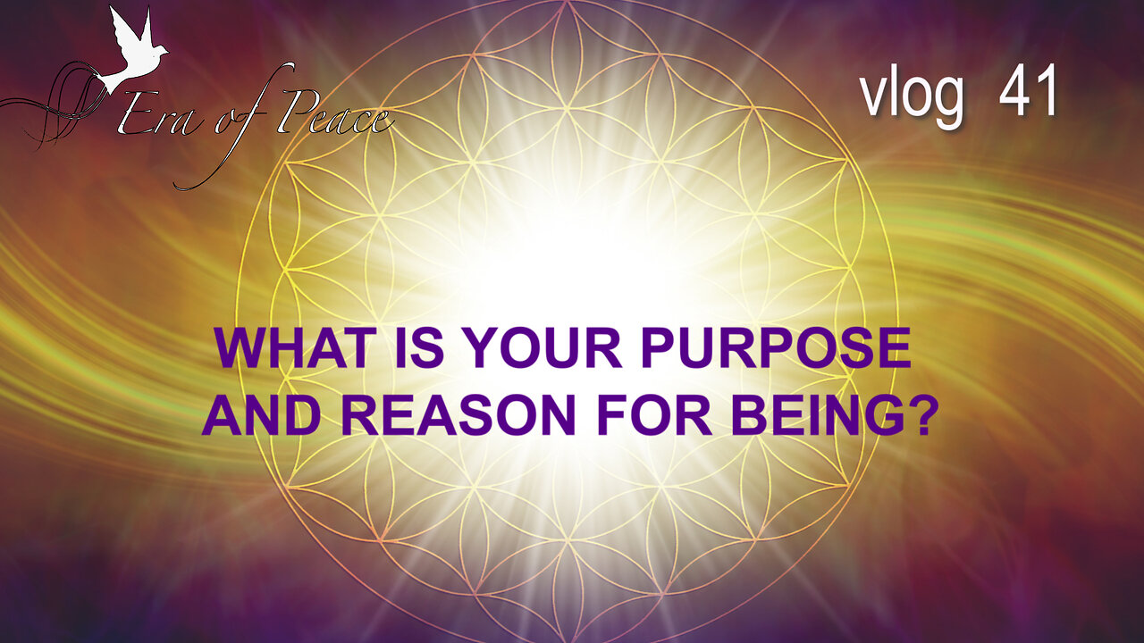VLOG 41 - WHAT IS YOUR PURPOSE AND REASON FOR BEING?