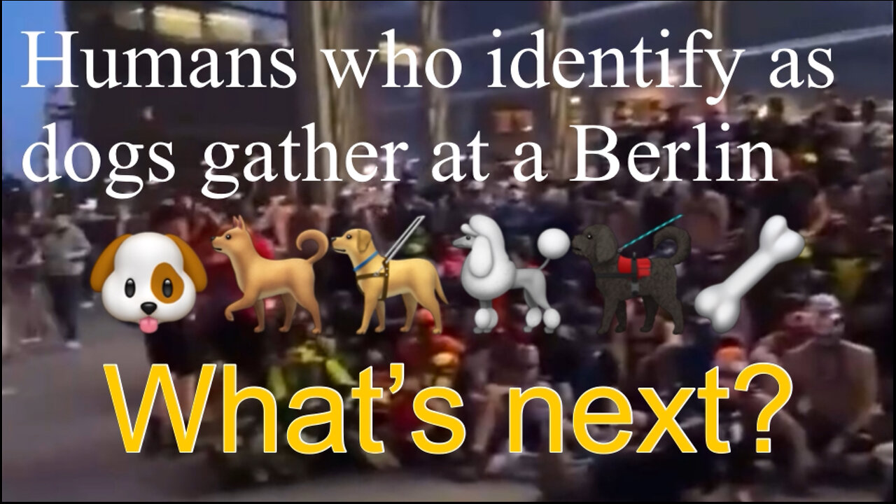 WATCH: Hundreds of humans who identify as dogs gather at a Berlin train station