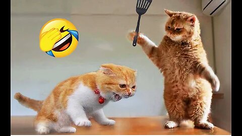 Funniest Animals 2023 😂 New Funny Cats and Dogs Videos 😻🐶