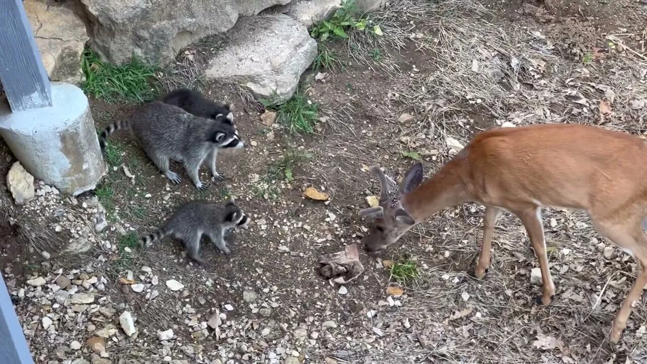 ❤