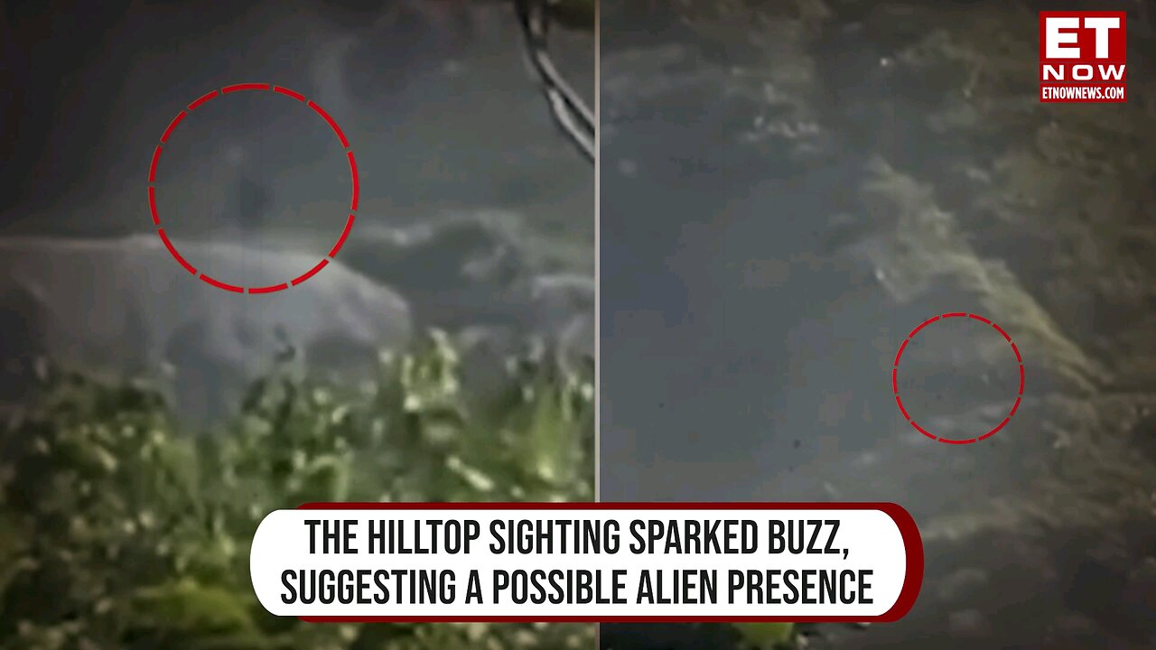 Viral Video I 'Alien' Spotted In Brazil? What We Know About The Incident | World News