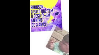 O DESAFIO DO EMAGRECIMENT0 AULA 3 #shorts