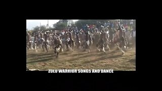 AMAZING ZULU WARRIOR DANCE #Shorts