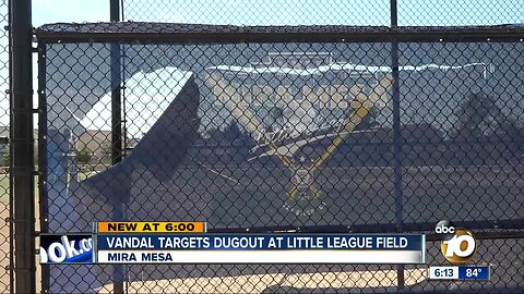 Vandal takes aim at Little League dugout in Mira Mesa