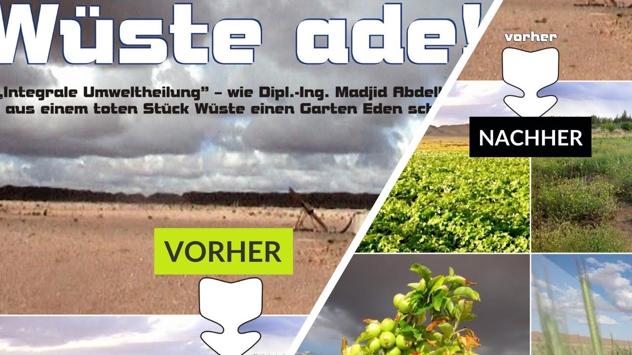 Wüste ade! - Wie man einfach aus einem Stück Wüste einen Garten Eden schafft.