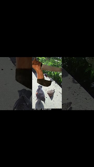 A Creepy Hand With A Knife Visits! 😬