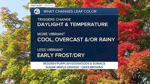 7 First Alert Forecast 0924 5PM