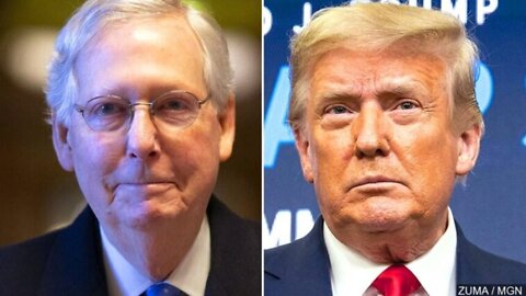 McConnell Sides With RINO Cheney Over Donald Trump