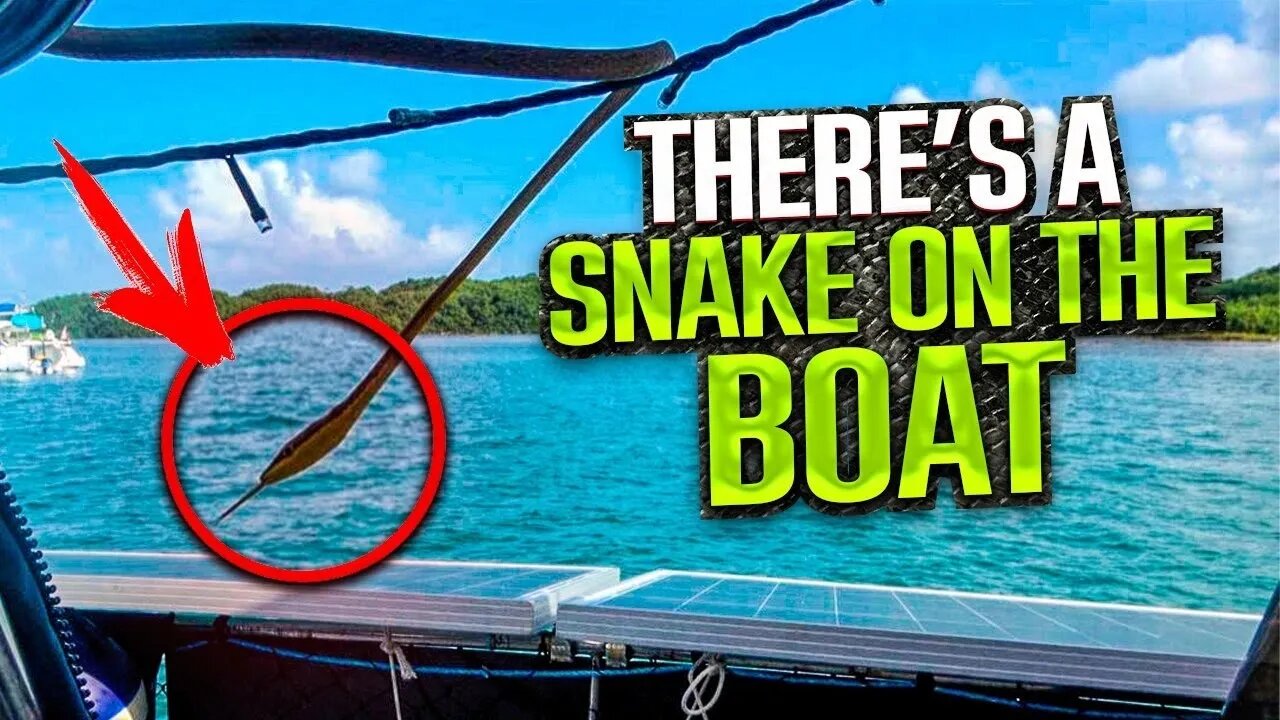 SSL676 ~ There's a SNAKE in the BOAT!