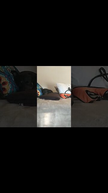 DON'T WORRY! I ran this idea by a renowned expert!