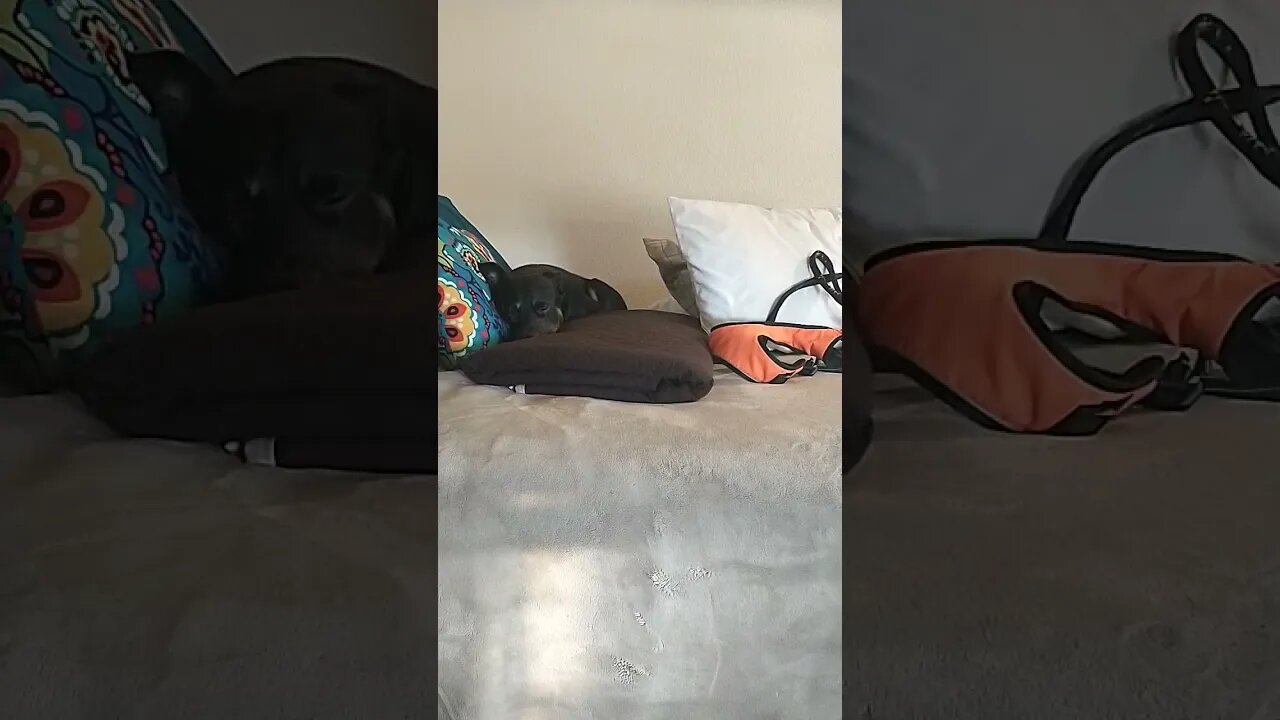 DON'T WORRY! I ran this idea by a renowned expert!