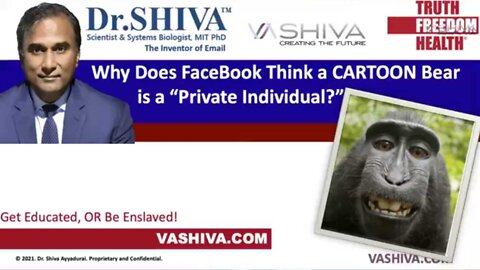 Why Does FaceBook Think a Russian Cartoon Bear is a "Private Individual?"