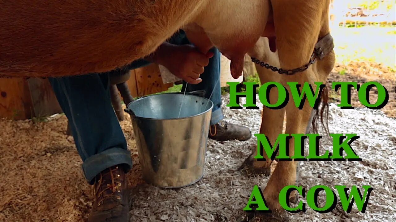 The Milk Cow, Part 3 - The FHC Show, ep 36