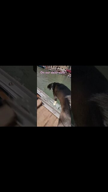 On our daily walk. Let’s dance. Bailemos. 💃🕺