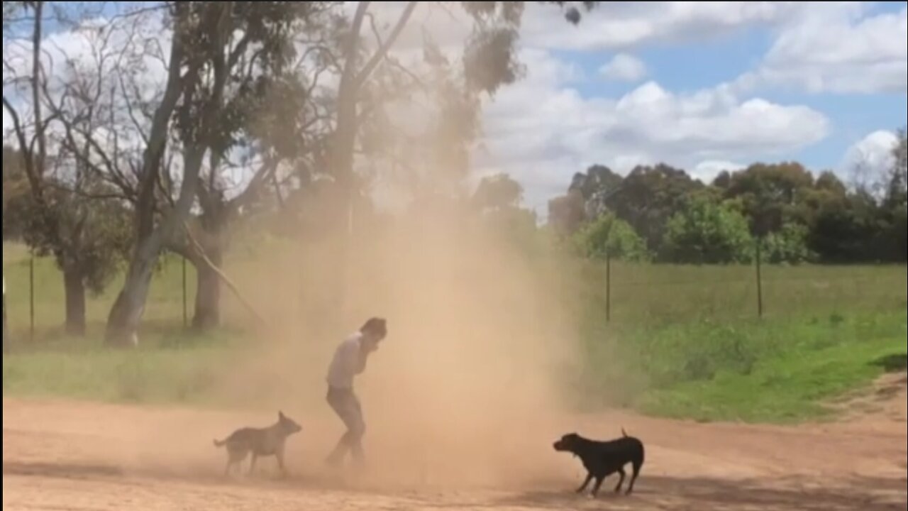 Family Pet Taken by Dust Tornado 😲