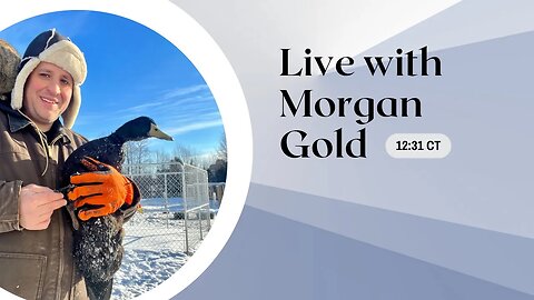 Tuesday Live with Morgan Gold: Homesteading and AI