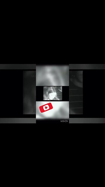 The Real Insurrectionists pt2 Later Granted clemency by Democrats like Obama, Clinton, Cuomo ect