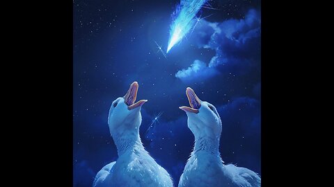 Ducks and geese captured the blue meteor sky